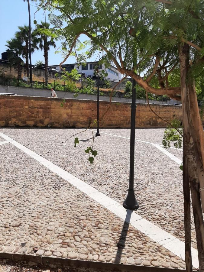 A Due Passi Dalla Cattedrale Apartment Palermo Exterior foto
